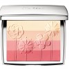 Dior Fleurs de Vents Blush