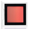 MAC Isabel and Ruben Toledo Blush Ombre