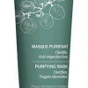 Caudalie Purifying Mask