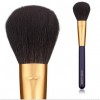 Estée Lauder Blush Brush 15