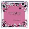 Catrice Expect the Unexpected Bright Blush