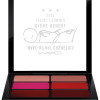 MAC Diane Kendal Enhance Me / Casual Colour Lip & Cheek X 6