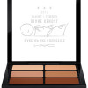 MAC Diane Kendal Cover Me / Mac Studio Conceal & Correct Palette