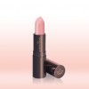 Catrice Absolute Moisture Lipstick 
