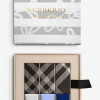 Burberry Cosmetics Runway Nails February 2017