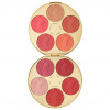 Tarte Blush Bazaar Palette