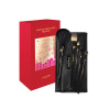 Lancôme Limited Edition Brush Gift Set