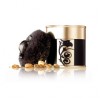 Clarins Barocco Shimmering Gold Powder for Face & Décolleté