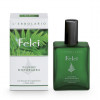 L'Erbolario Fern Aftershave Fluid