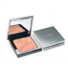Sisley Blur Expert