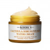 Kiehl's Since 1851 Calendula Serum-Infused Water Cream