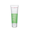 Clarins Pure Scrub