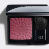 Dior Blush Power Look Collection