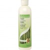 Avon NATURALS Ginseng & Bamboo Replenishing Conditioner
