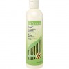 Avon NATURALS Ginseng & Bamboo Replenishing Shampoo