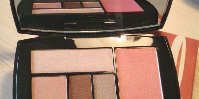Skinn Cosmetics Eye Shadow & Blush Palette in Flushed – Review