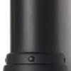 bareEscentuals BareMinerals 100% Natural Lipcolor