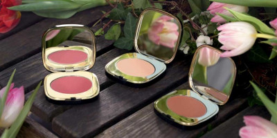 Dolce & Gabbana Blush of Roses