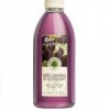 Yves Rocher Les Plaisirs Nature Wild Blackberry Shower Gel