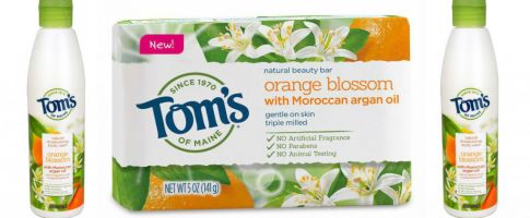 Tom's of Maine Organic Orange Blossom Natural Body Wash and Beauty Bar
