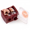 Anastasia Beverly Hills Sharpener
