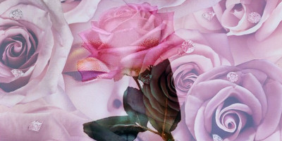 Pat McGrath Labs Launches Divine Rose Palette