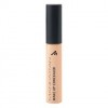 Manhattan Wake Up Concealer