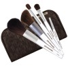 Pür 5-Piece Lucite Brush Collection