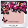 Catrice Enter Wonderland Highlighting Powder