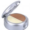 Pür Mineral Brow Perfection 