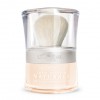 L'Oréal Paris TRUE MATCH NATURALE™ Soft-Focus Mineral Finish