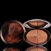 Guerlain Terracotta 4 Seasons Tailor-Made Bronzing Powder