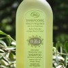 Belesso en Provence Olive, Sweet Orange and Honey Organic Shampoo