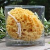 Belesso en Provence Natural sponge "Silk"