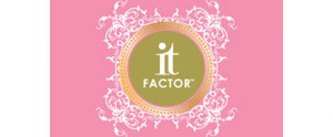 It Factor Quick BlowDry reduces drying time for up to 50%