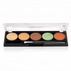 Victoria's Secret PRO Camouflage FX Concealer Palette