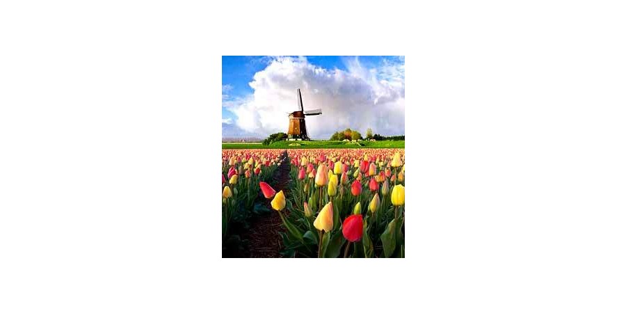 EXCLUSIVE PREVIEW: OPI Holland Collection for Spring 2012