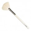 benefit fantail brush