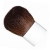 benefit bronzing brush