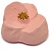 Lush Luverly Bath Bomb