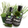 Lush Grass Shower Gel
