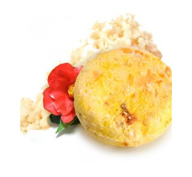 Lush Godiva Solid Shampoo
