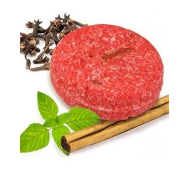Lush NEW! Solid Shampoo