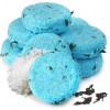 Lush Seanik Solid Shampoo