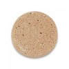 Lush Dr. Peppermint Solid Shampoo Bar