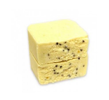 Lush Gentle Lentil Solid Shampoo