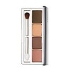 Clinique Colour Surge Eye Shadow Quad