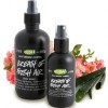 Lush Breath of Fresh Air Toner