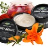 Lush Lovely Jubblies breast cream