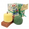 Lush Greetings From...Gift